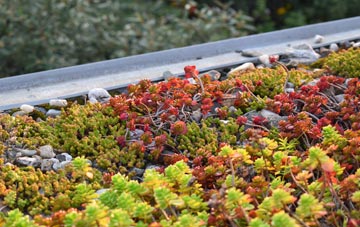 the cost of Buckland Ripers green roof installation