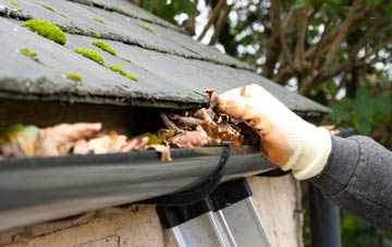 gutter cleaning Buckland Ripers, Dorset