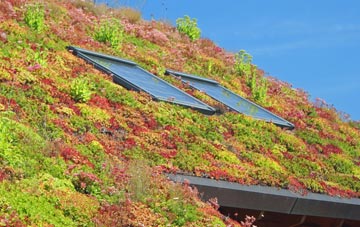 Buckland Ripers living roof systems