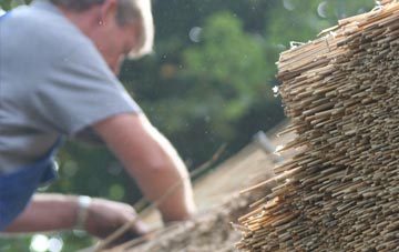 professional Buckland Ripers thatchers