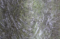 Buckland Ripers fibreglass roof work